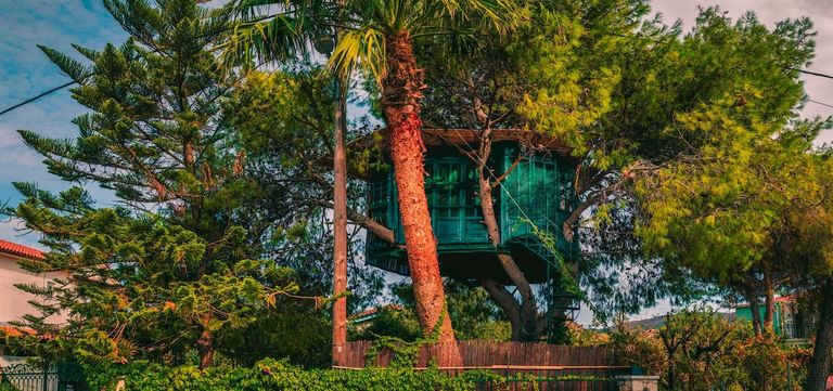 Fabulous Treehouse in Ionian Islands, Greece 🇬🇷