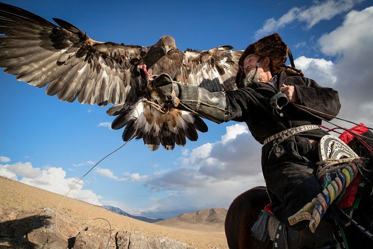 Hunting with Eagle in Altai Mountains, Mongolia 🇲🇳